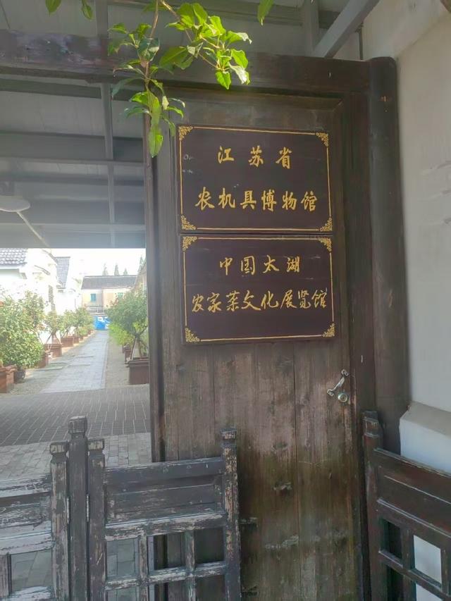 “准耄耋”生日震泽古镇一日游小记