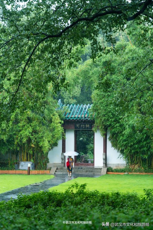 狂降10℃，武汉最凉快的一周，这样玩