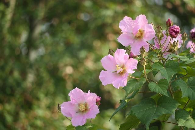 两性关系“男怕前，女怕后”，为何男人怕前女人怕后原因是什么？