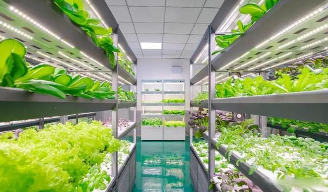 1969年美国已成功登月，为啥中国迟迟没能实现，要到2030年才可以