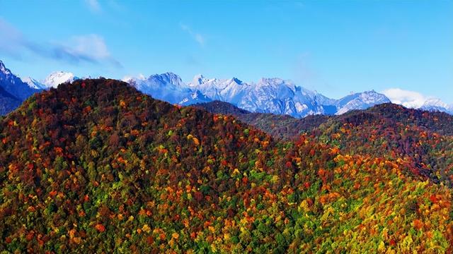 【联动宣传】陇南冬韵·共生：山水对影，秋冬同框
