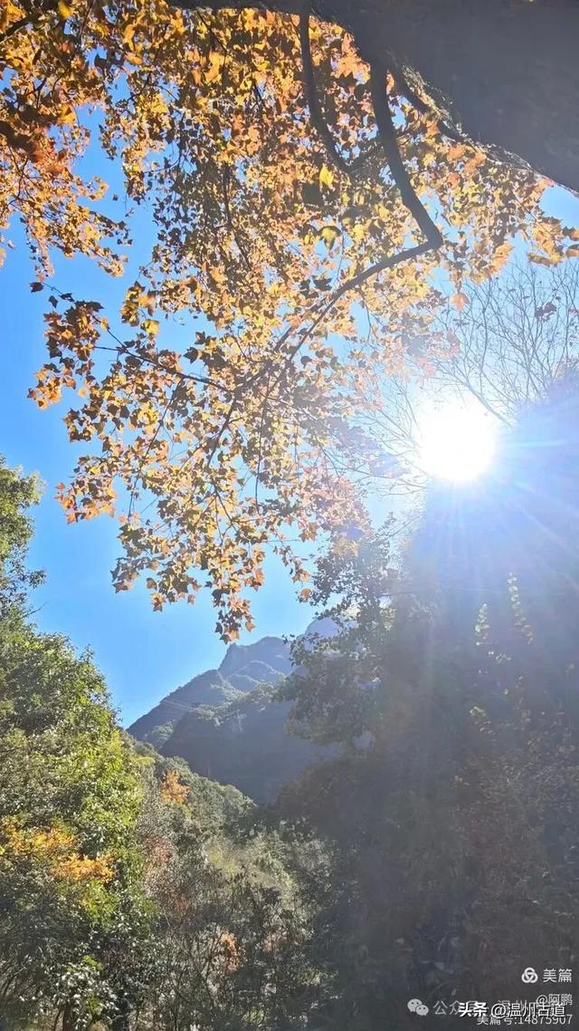 踏秋胜地,天脊龙门!浙江这个4A级景区已美成童话,等你来打卡