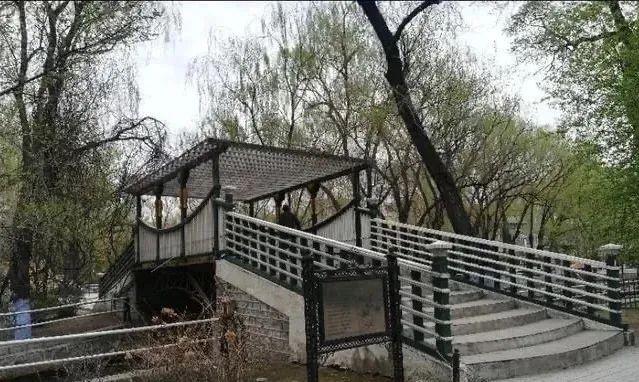 第一家教堂，第一个体育场、公园……哈尔滨这些第一个你知道吗？