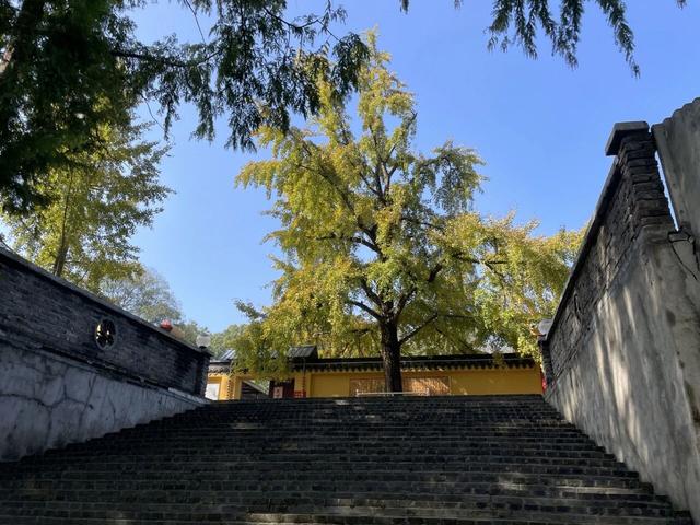 随性骑游六合随拍小景