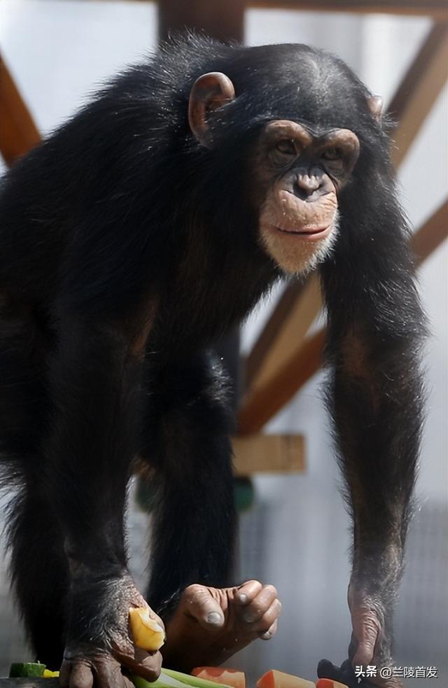 好客山东好品山东｜临沂遛娃去哪儿？初冬攻略收藏就出发～