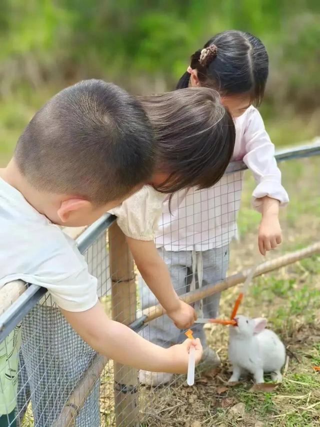 幼儿园大班免学费？山东这些超有趣的幼儿旅行地，带娃闭眼冲！