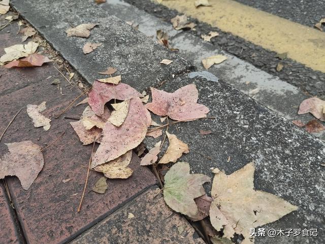 新会圭峰山上的枫叶红了吗？没有红叶，品尝山脚下的美食，也不错