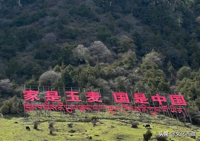 山南！山南！没来过山南，等于白去了西藏！