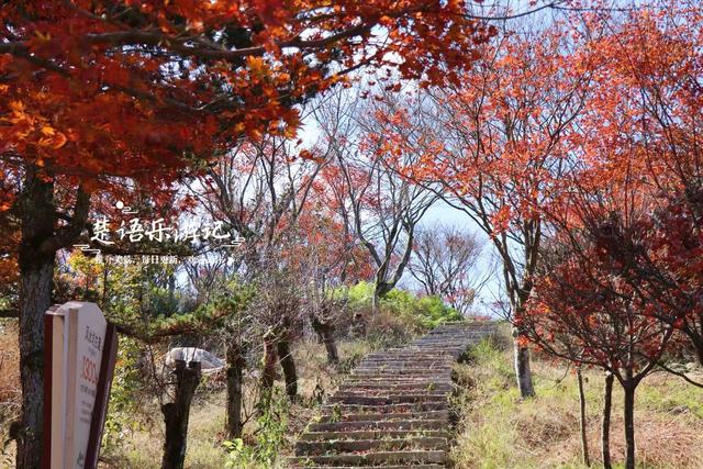 宁波四明山中鲜有人知的乡村，却被誉为中国红枫之乡，景色太迷人