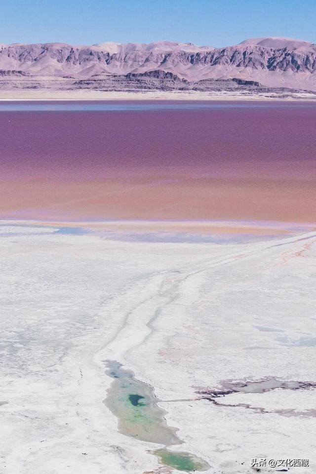 不用去澳大利亚！中国西藏有自己的粉红湖，颜值爆表，人少还免费！