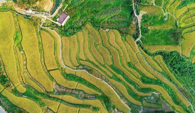 红叶指南：太湖源头的江南秋魂