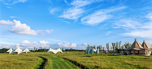 吴江开通专线！带你追“顶流”！