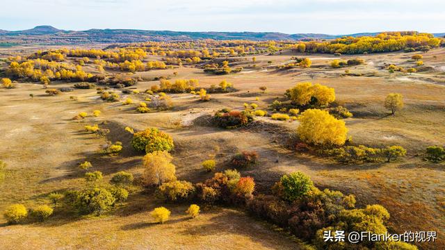 坝上寻秋续：一场穿越乌兰布统彩林的漫记