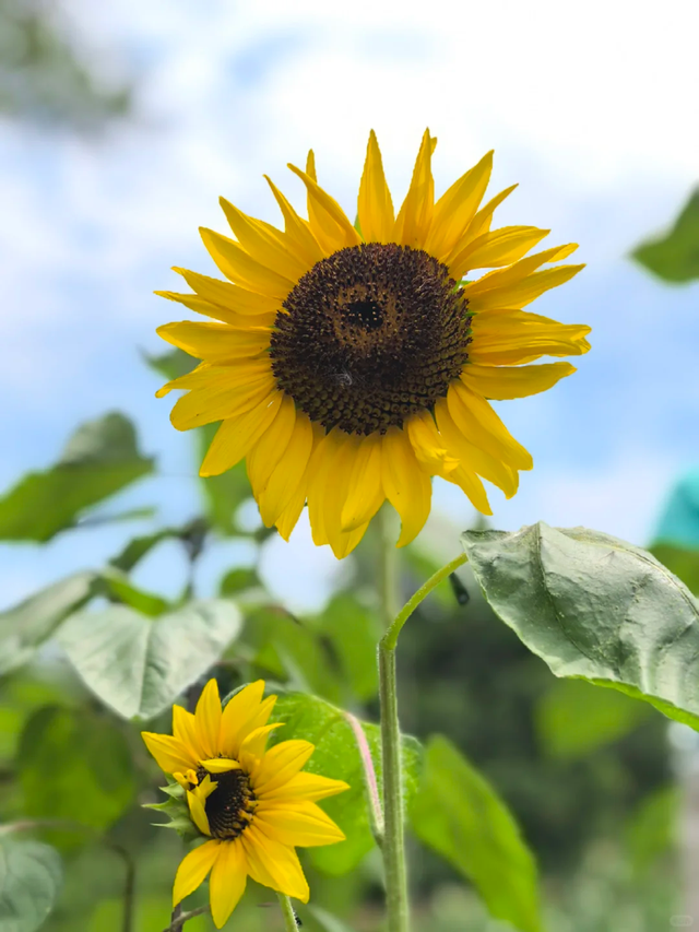 实测低9℃！成都1.5h的免费溯溪玩水遛娃路线，超安逸！