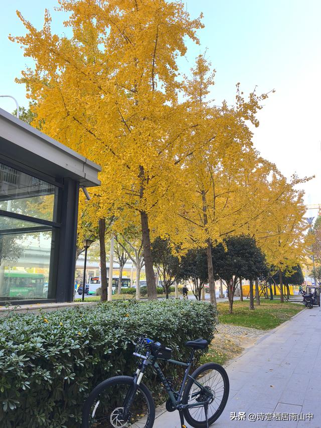 骑行听书：让快乐加倍，让风与墨香撞个满怀