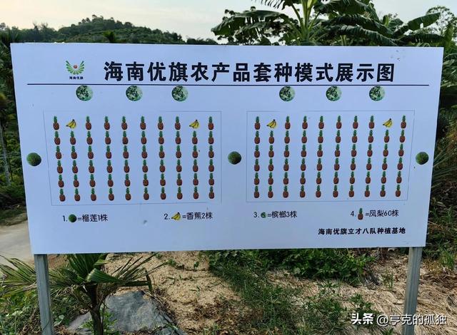 失去中国市场后，大量水果烂地里卖不出去，现在开始后悔得罪中国