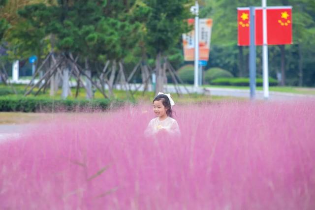 “粉色秘境”已上线！初冬必打卡！位置就在…