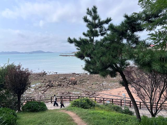 毗邻八大关，无敌海景、欧式建筑、葱郁柏树，这里一处宝藏景区。