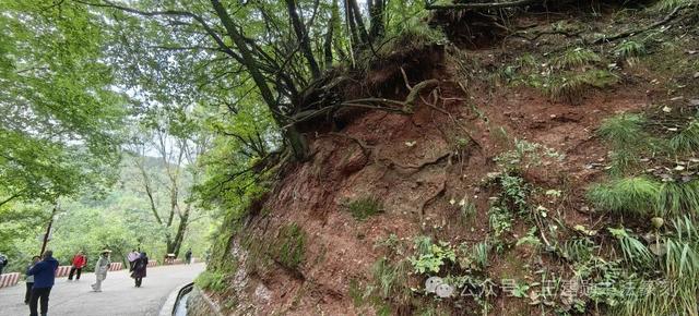 天水麦积山石窟简介及游览路线