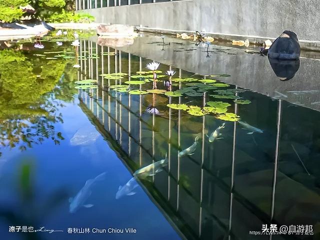 春水堂創辦人打造結合山林美食、茶文化足浴，夏天還有戲水池