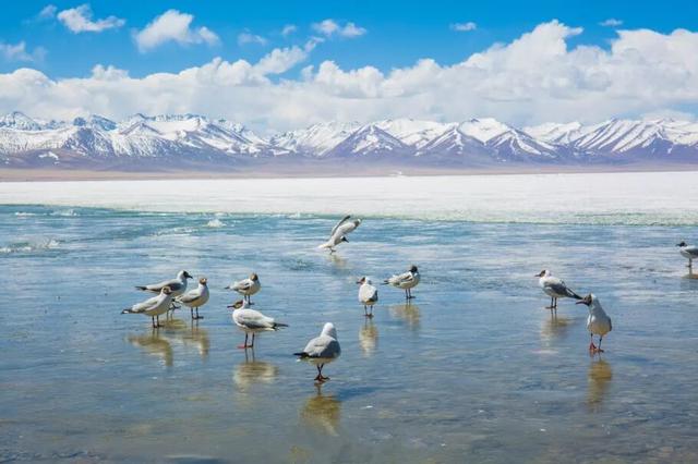 西藏天湖冬日变蓝宝石秘境，千里冰封宛如异星