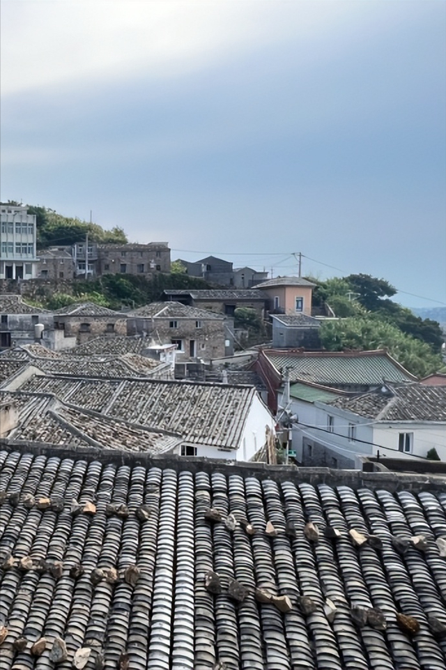 3710公里，这条避寒的20°C候鸟路线，从东北到海南，一路美到底！