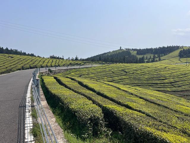 福泉山南北大穿越,天打岩-福如东海-洋山村