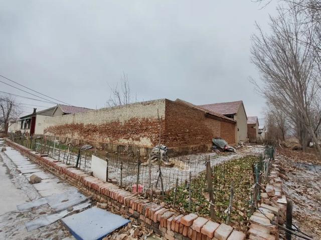 雪中探访德州城南村庄——三七村，一个跟中草药没有关系的村庄