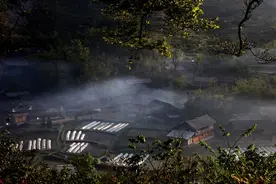 东北黄皮子的神秘传说与诡异事件图片