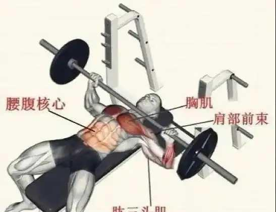 怎么锻炼全身，每一块肌肉，练个遍，又不累？