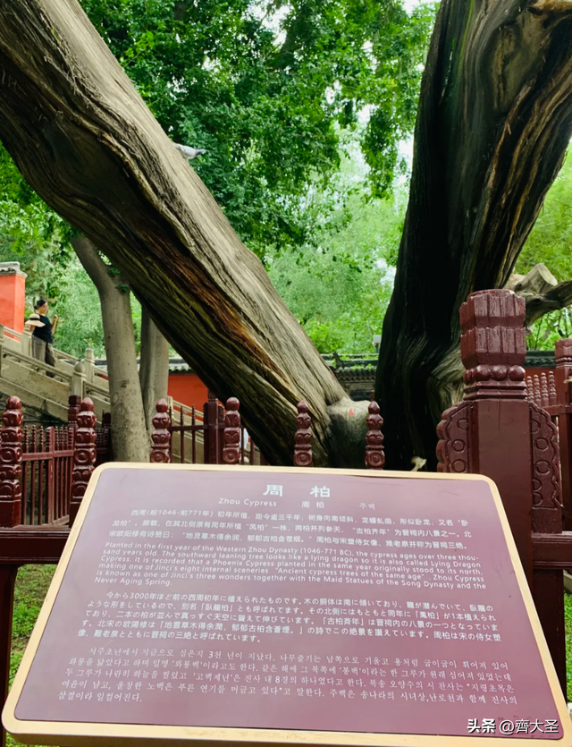 太原一日游精华攻略：从山西博物院到晋祠