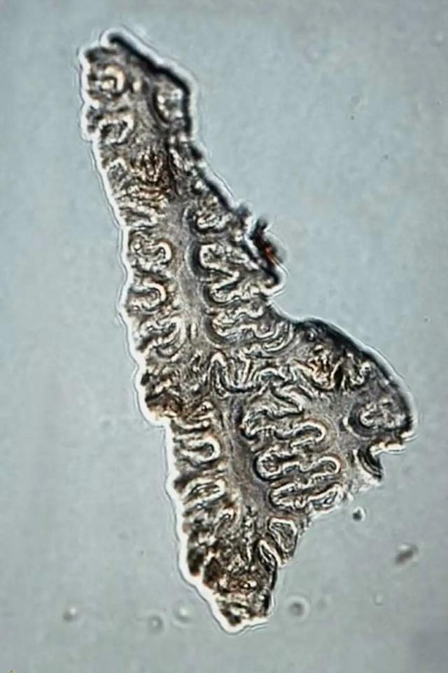 是谁吃了“世界上第一碗面”？青海海东还有多少秘密？