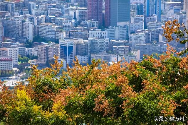 变了！变了！南山公园、新城路、都历山、天生城……