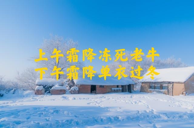 “上午霜降，冻死老牛；下午霜降，单衣过冬”，今年霜降在几点？