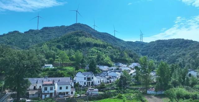 孝昌笔架村：红色热土上的绿色蝶变