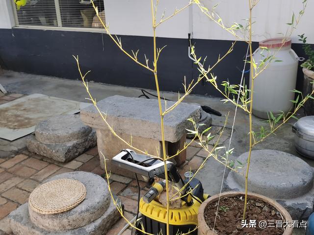 东山一号｜觅境山水间，归心自然里