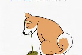 后悔没早知道！狗狗拉稀软便正确处理姿势图片