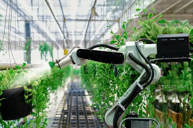 遭大疆退股的FJD冲刺IPO，博士押注农业机器人，3年半累亏12.88亿