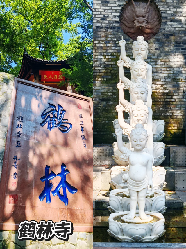 邛崃白鹤山千年绿道，成都0.5h直达，玩转古寺禅意+森系秘境！