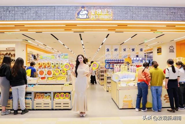 万家丽国际大酒店把“森林”搬进客房 多元业态唤醒城市旅居新想象