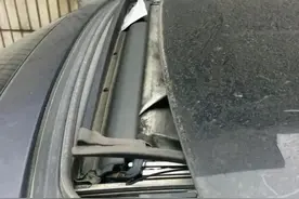 一辆停放在杭州街头7年的“僵尸车”，竟然被大自然征服！图片