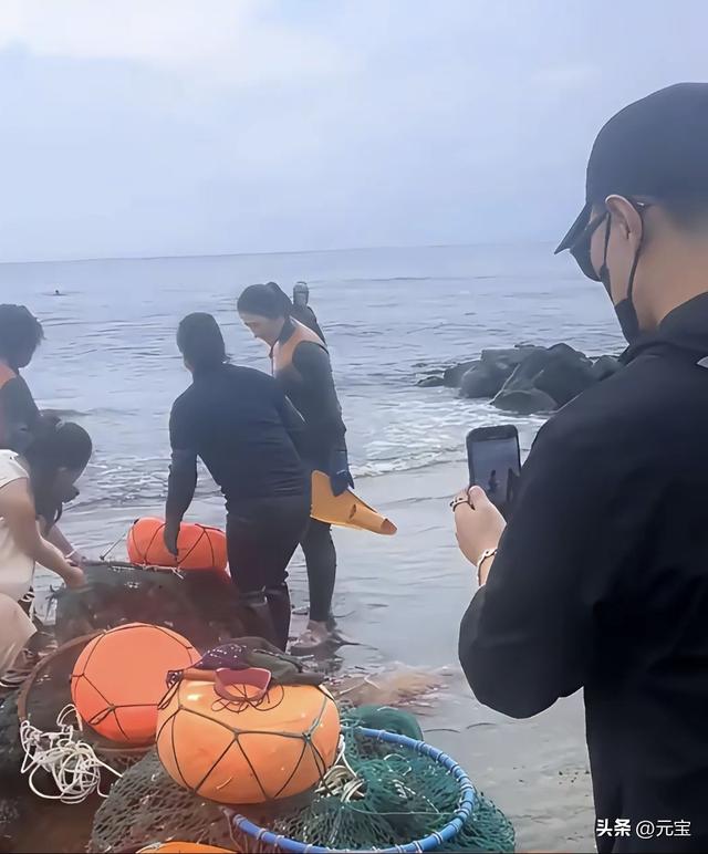 54岁汪峰陪35岁森林北去济州岛玩 森林北帮运海螺