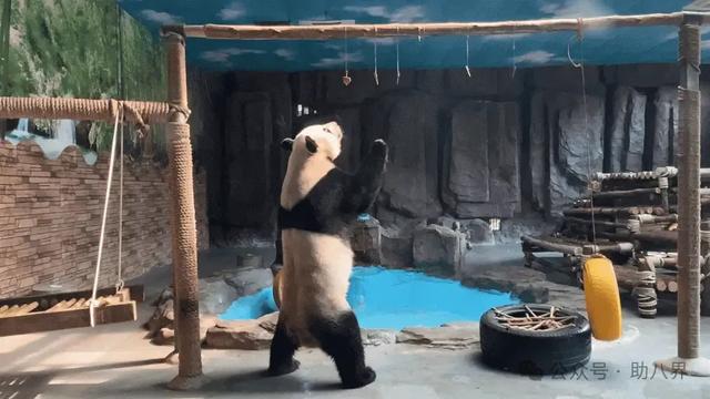 广东东莞十大打卡地（精简版）