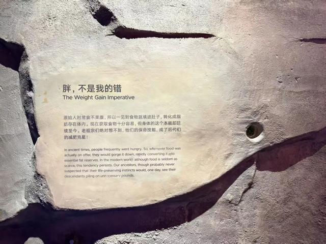 上海科技馆焕新升级，今天面向公众开启首场压力测试！小布带你探营→