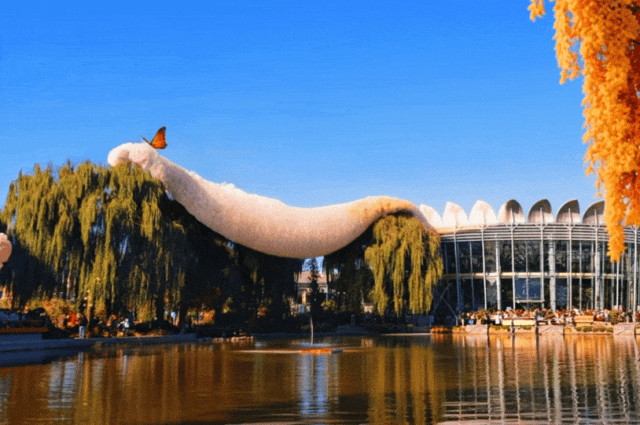 一起来跌进丰台毛茸茸的世界吧！