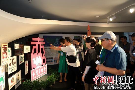 韩国旅游考察团走进咸宁：品三国茶香 享夏季清凉