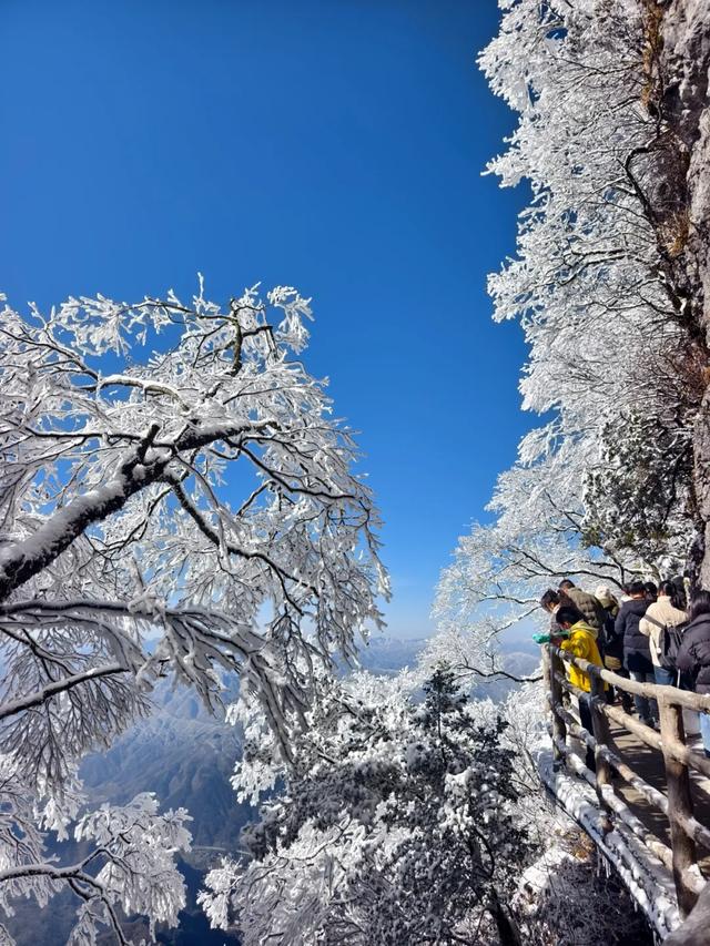 梦幻雪景天花板！龙头山冬日冰雪秘境太绝了！