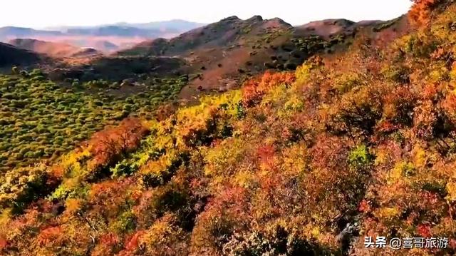 敖牛山行记：吉林西部之巅的四季画廊