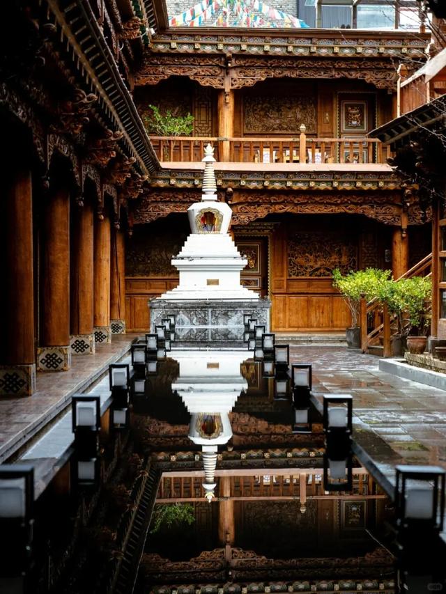 泊心云舍十周年|穿越十年的感恩之旅即将启程