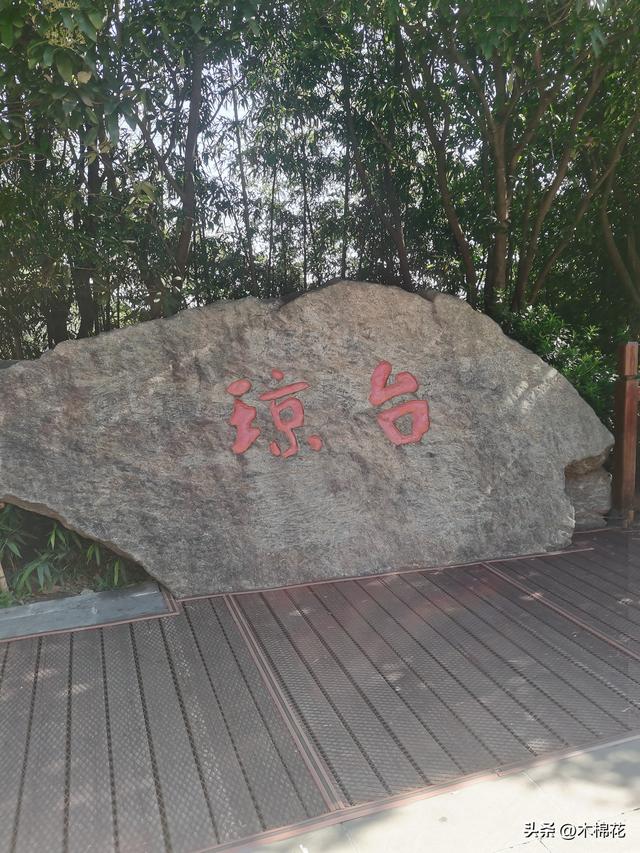 携宠旅游第二天